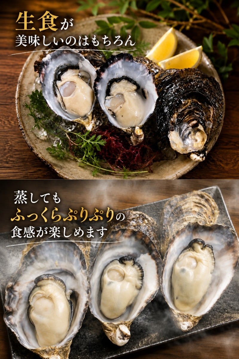 岡山産 殻付き牡蠣  2kg (約80ｇ×24個前後)生食用 三倍体 真牡蠣 ナイフ軍手付き ASAHI OYSTER カキ かき 生牡蠣 