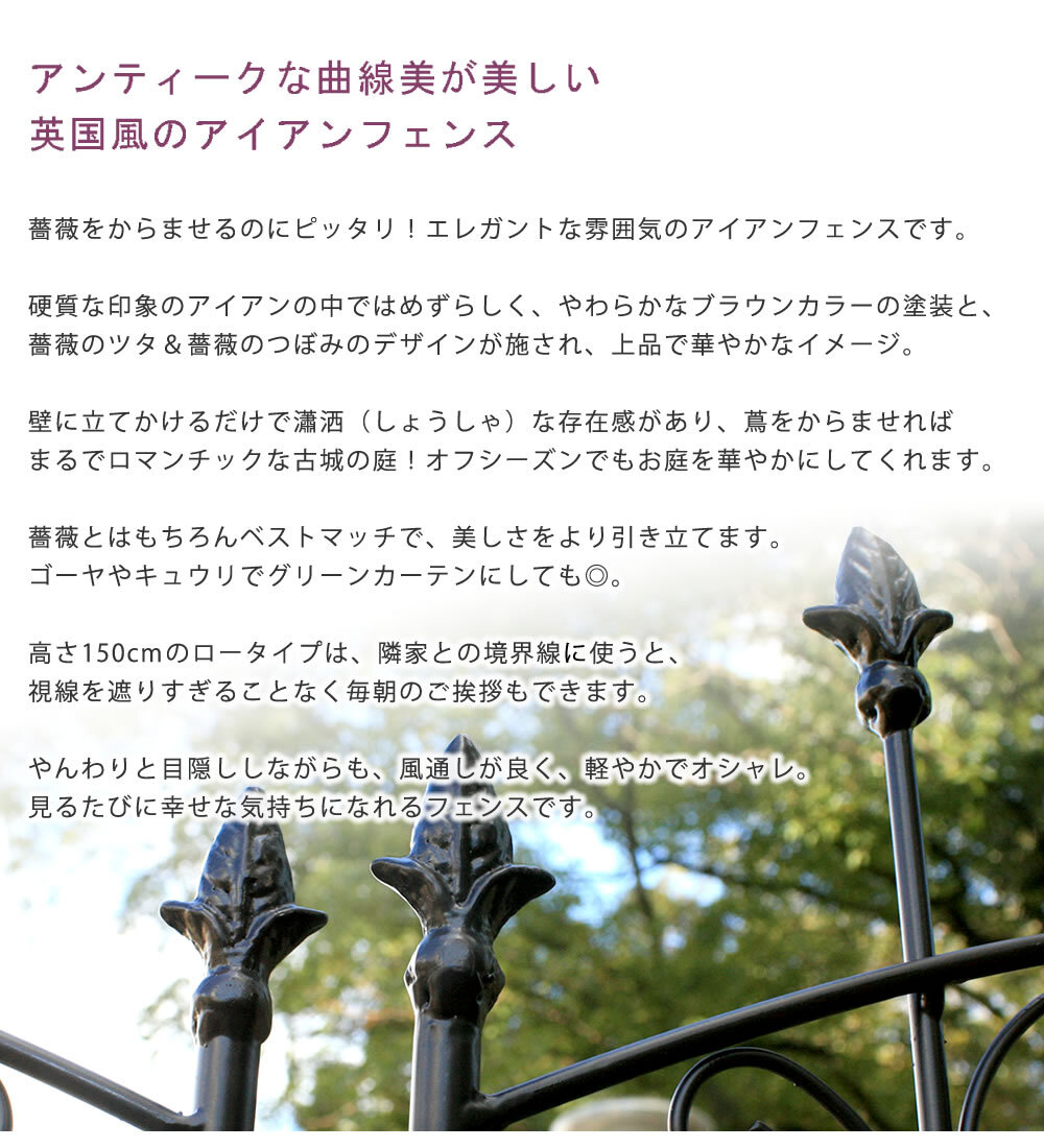 ガーデン エクステリア アイアンローズフェンス150 ロータイプ 4枚組 フェンス アイアン ガーデニング 枠 柵 仕切り 目隠し 境目 クラシカル アンティーク トレリス ベランダ つる 薔薇 バラ 朝顔 園芸 ラティス つるバラ 庭誘引 新生活