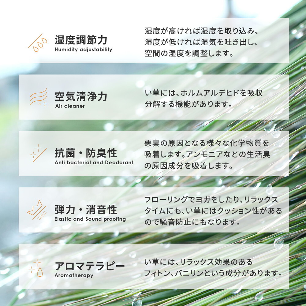 夏ラグ 夏用カーペット はっ水 ふっくらウレタン入り い草ラグ キハチ 約180×180cm 撥水 抗カビ 折りたためる コンパクト 滑り止め付き