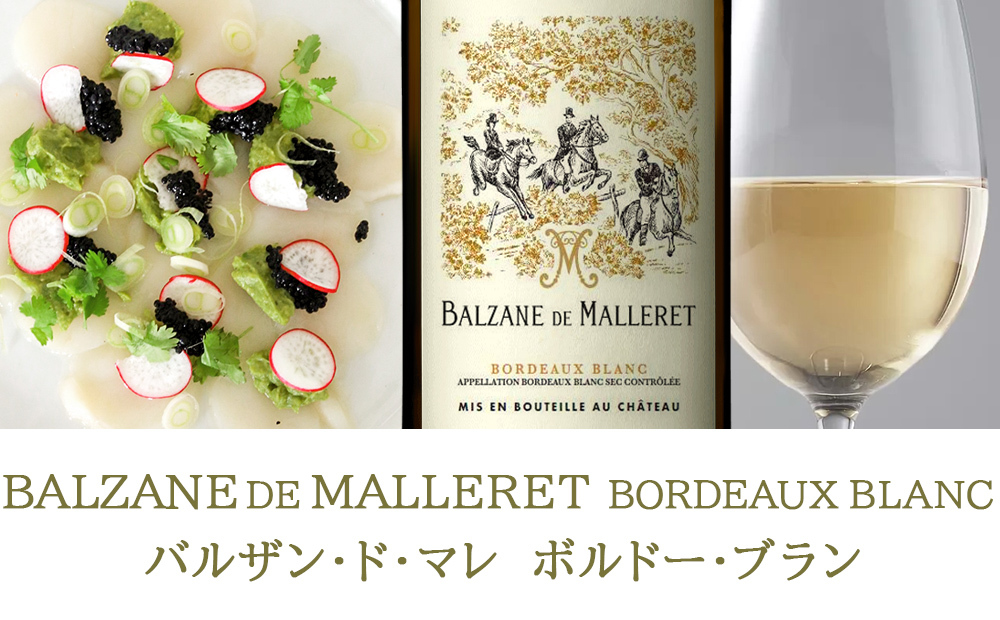 高級ワイン フランス BORDEAUX ボルドー 飲み比べセット 赤ワイン 白ワイン 2本 紅白ワイン フランス オー・メドック  メルロー ソーヴィニヨン・ブラン トワル・ド・ジュイ 750ml 2本 贈り物 プレゼント 熨斗包装 ギフト箱付 お祝い 会社 上司 送料無料