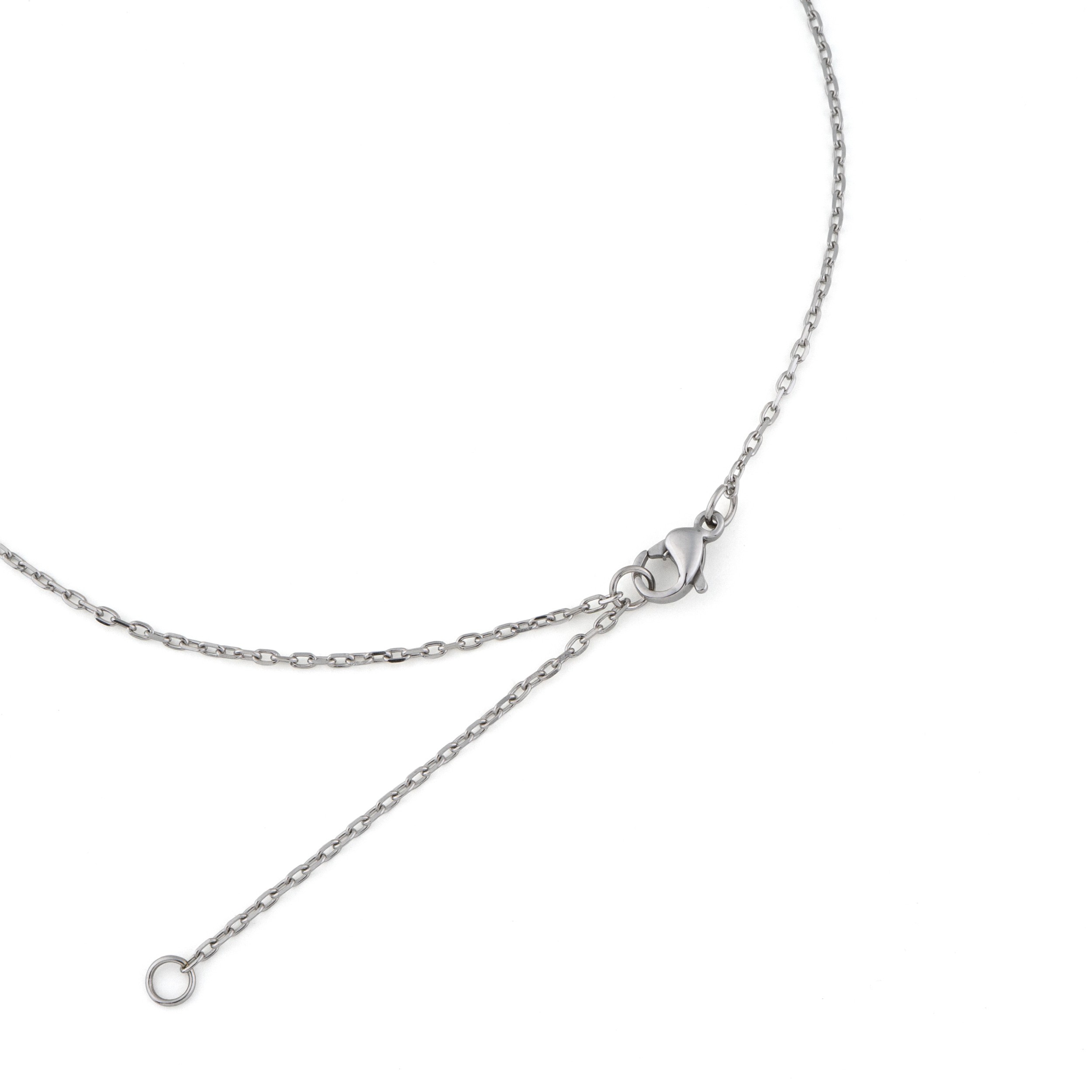 コインネックレス (王冠／ライオン)  Coin Necklace PUPE129 Dress Up ドレスアップ