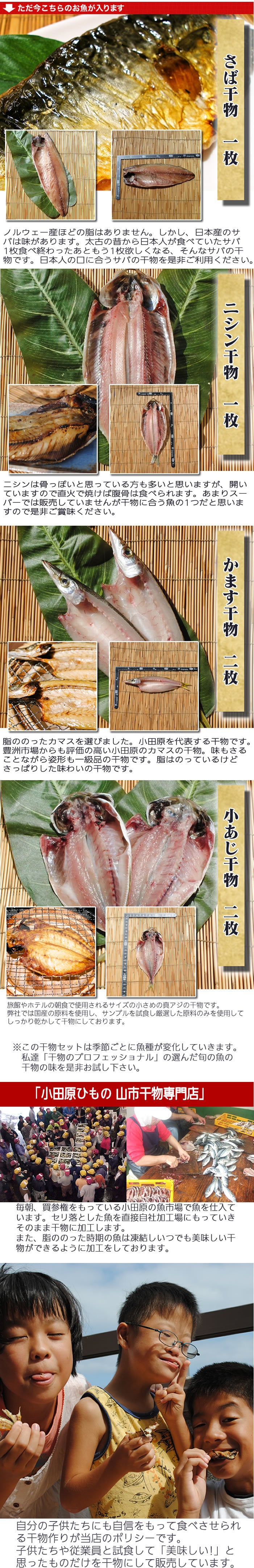 お取り寄せ 海鮮 グルメ ギフト プレゼント 旬彩干物セット【国産】 サバ 産地直送 こだわり 食品 手作り 詰め合わせ 誕生日 小田原 美味しい 訳あり 福袋 魚 1位 通販 バーベキュー 送料無料※一部地域のぞく