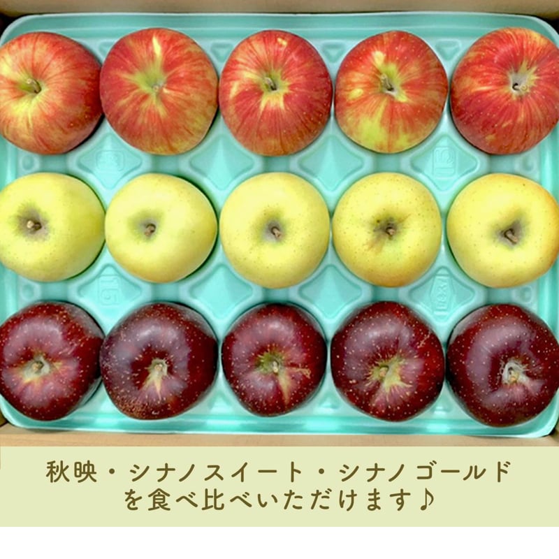 長野県産りんご3兄弟セット シナノスイート 秋映 シナノゴールド ご贈答 果物 フルーツ お取り寄せ 産地直送 【送料無料(一部地域除く)】