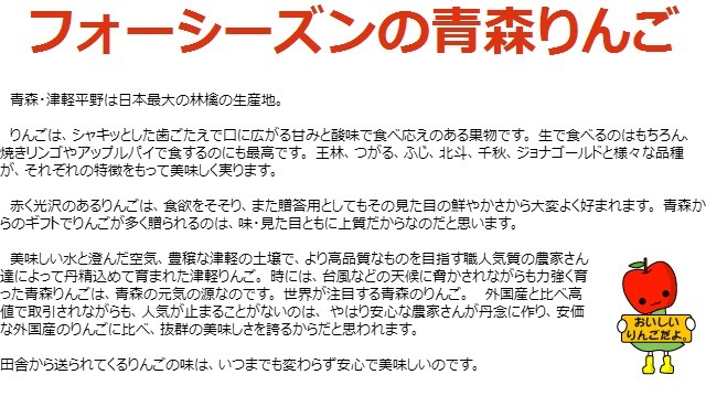 【11月中旬頃発送】蜜入りは１２月末まで 甘くておいしい！ フォーシーズン 青森りんご 葉とらずサンふじ　家庭用　5C箱(5kg箱)