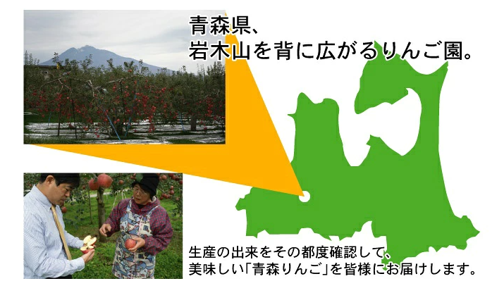 【11月中旬頃発送】一華ベジフル 青森 りんご 王林 (おうりん) 家庭用 3C箱(8～12個入) 一華ベジフル 青森 お土産 青森県産 果物 フルーツ 訳あり ランキング ギフト リンゴ 林檎 アップル 送料無料 お歳暮 2026