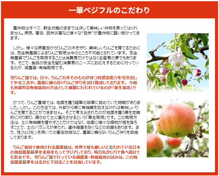 【11月中旬頃発送】一華ベジフル 送料無料 葉とらず サンふじ 家庭用 3C箱(3kg箱:約7～10個入) りんご 青森県産 蜜入りリンゴ 蜜入りりんご 訳あり 葉取らず 林檎 送料無料 ギフト 御歳暮 お歳暮 ギフト お試し フルーツ 果物 クリスマス お正月 2026