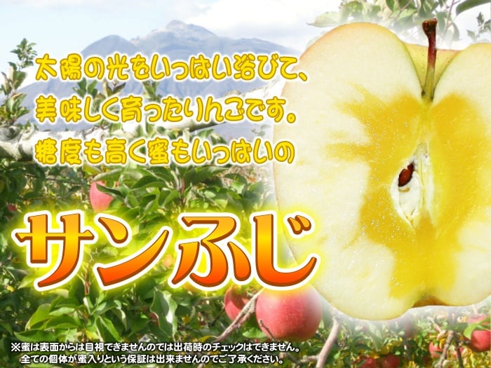 【11月中旬頃発送】一華ベジフル 青森 リンゴ サンふじ 家庭用 3C箱(3kg箱:約7～10個入) りんご 青森県産 蜜入り リンゴ 林檎 りんごジュース ギフト 御歳暮 お歳暮 フルーツ 果物 青森県 お土産 お取り寄せ 販売 通販 2026 訳あり【送料無料】