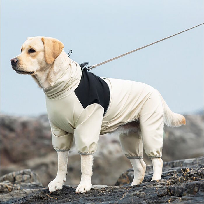犬 レインコート フルカバー 通販 犬用カッパつなぎ ドッグウェア 背中ファスナー式 お腹泥よけカバー 雨具レインウエア お散歩グッズ 犬服 はっ水 撥水加工 着せやすい犬服 リード穴付 ハイネック仕様 フードなし設計 梅雨対策 ペット用品
