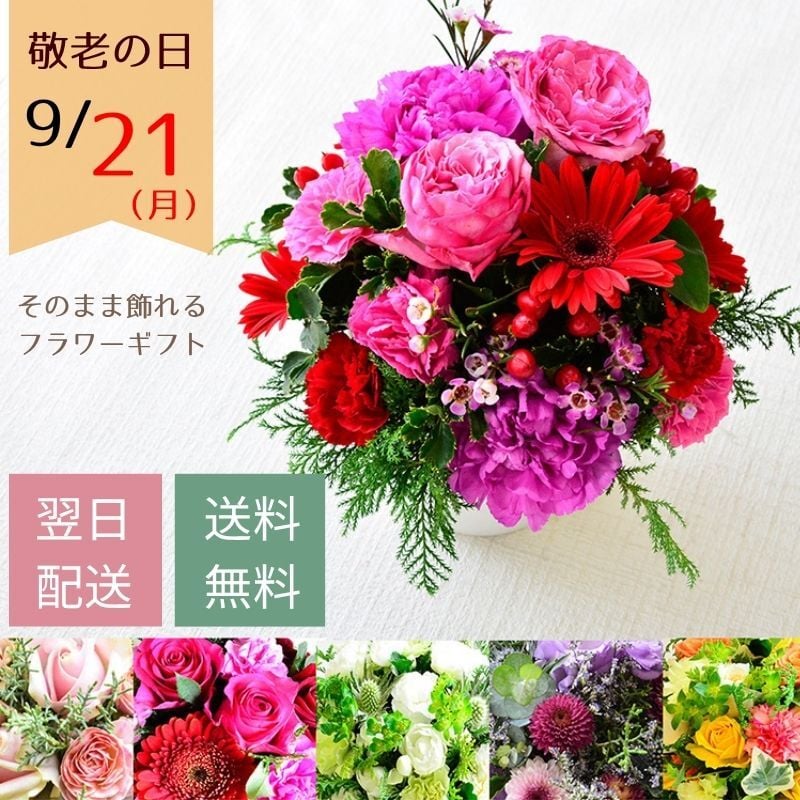 【おまかせアレンジメントＳsize】即日発送 送料無料 生花アレンジメント 生花 アレンジメント 色を選んでおまかせ 誕生日 お祝い 結婚式 展示会 楽屋花 出産お祝い 記念日ギフト 父の日 母の日 敬老の日 お見舞い プレゼント お中元 お歳暮 お彼岸