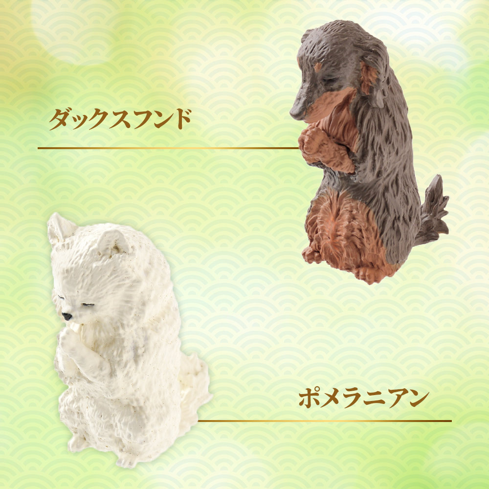 【5種類セット】 ガチャ ガチャガチャ コンプリート 中身 合掌 匠 ～犬拝～ 其の参