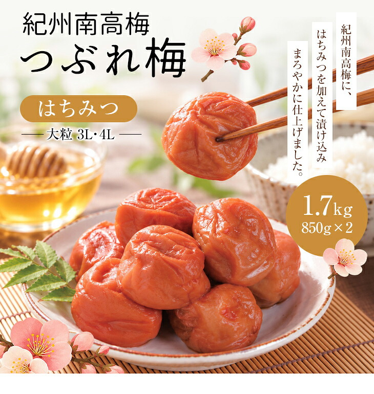 梅干し 紀州南高梅 つぶれ梅 1.7kg 850g×2パック 塩分約3% 減塩 はちみつ梅 蜂蜜 大粒 3L 4L 訳あり 紀州 和歌山県産 お徳用 果肉たっぷり ご飯のお供 ギフト
