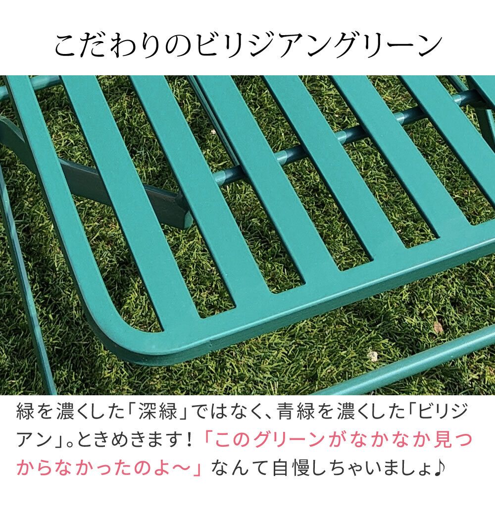 チェア 椅子 アイアン製ガーデン 2脚セット 「Sunny Leaf サニーリーフ 」 SPL-9001-2P