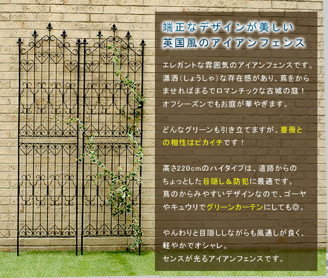 アイアンフェンス220 ハイタイプ 2枚組 ブ 送料無料 フェンス アイアン ガーデンフェンス ガーデニング 枠 柵 仕切り 目隠し 境目 クラシカル アンティーク トレリス ベランダ つる 薔薇 バラ 朝顔 園芸 ラティス ブラック スチール 屋外