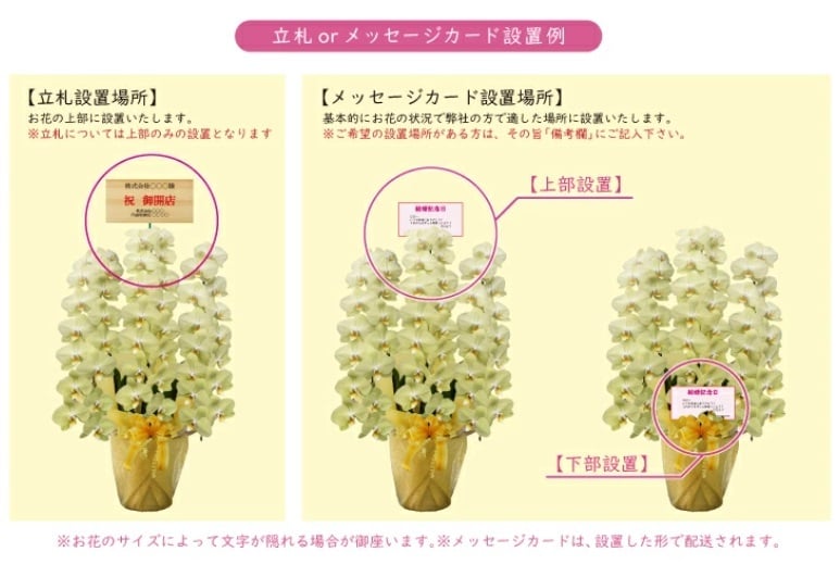 希少 純国産 胡蝶蘭 花持ち長い 中輪3本立ち 40輪～ 25,800円【煌華(きらか)】 黄色 画像配信あり 産地直送 お祝い 花 贈り物 母の日ギフト 縁起良い 商売繁盛 長寿祝 開店祝 開業祝 移転祝 就任祝 昇進祝 当選祝 当日発送 日本橋 銀座 王立園芸協会登録商品
