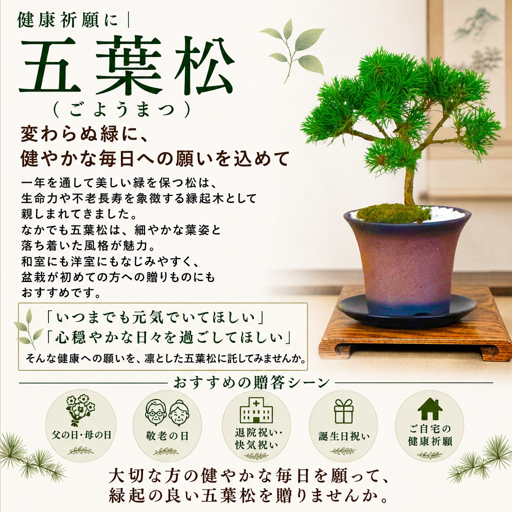 盆栽 松 ギフト 無料 趣味 実生 樹齢6年 吾妻五葉松 縁起の良い松 新しい趣味 植物 盆栽 松 室内 初心者 おしゃれ 盆栽 ミニ観葉 誕生日 敬老の日 父の日 プレゼント フラワーギフト 送料無料