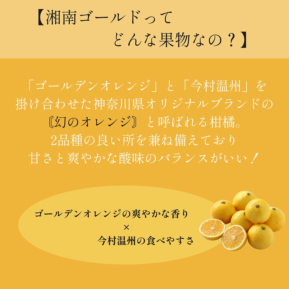 【予約受付中】クリスマス アイスケーキ 湘南ゴールドとチーズアイスケーキ 15cm クリスマス Xmas 2025 アイス ケーキ ギフト スイーツ プレゼント ギフト フルーツ  送料無料 贈り物 湘南 柑橘 紅茶 チーズ ケーキ アイス(x25004)