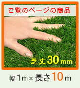 ガーデン エクステリア ロール人工芝 芝丈30mm 幅1m×長さ10m SST-FME-3010 送料無料 ロールタイプ リアル 屋上緑化 ベランダ 庭 屋外 グリーンターフ ターフ