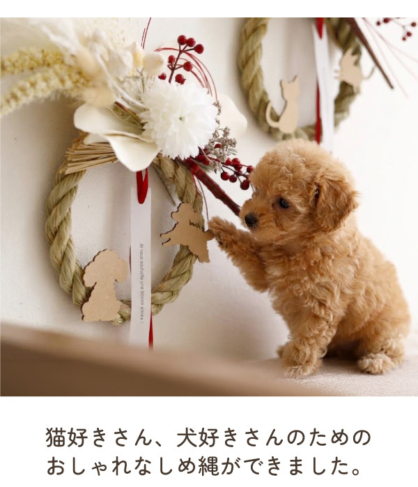 しめ縄 お正月飾り 犬 猫 犬猫 犬好き 猫好き ペット かわいい おしゃれ ナチュラル 玄関飾り正月飾り しめ飾り お正月 モダン しめなわ