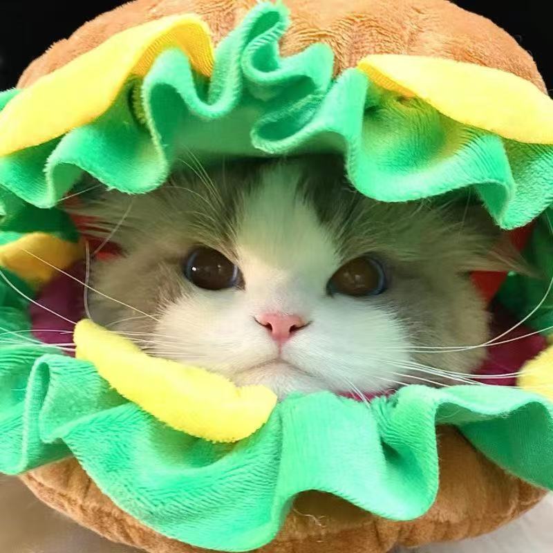 猫 帽子 犬 帽子 ペット 帽子 ハンバーガー コスプレ 猫用 犬用 被り物 かぶりもの ペット用品 かわいい おもしろ 変身 なりきり コスチューム 仮装 ペットウェア 猫グッズ 犬グッズ 小型犬 猫用帽子 ふわふわ 写真撮影 SNS映え 誕生日 ハロウィン クリスマス S M L