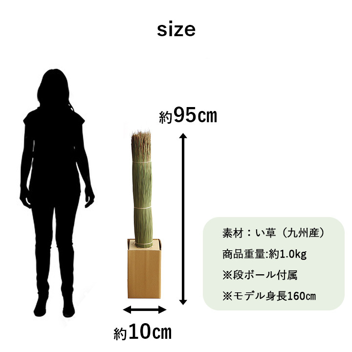 国産 日本製 い草 インテリア オブジェ 消臭 空気清浄 ナチュラル 植物 置物 95×10cm