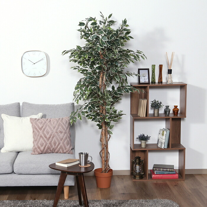 ガーデン エクステリア 観葉植物 フィカス １１２４ Ｂ フェイクグリーン 植物 緑 グリーン 癒し 植木 インテリア ガーデニング おしゃれ カフェ リビング プランター ギフト プレゼント 贈り物 オフィス 会社 枯れない 簡単 手入れ 人気 樹木