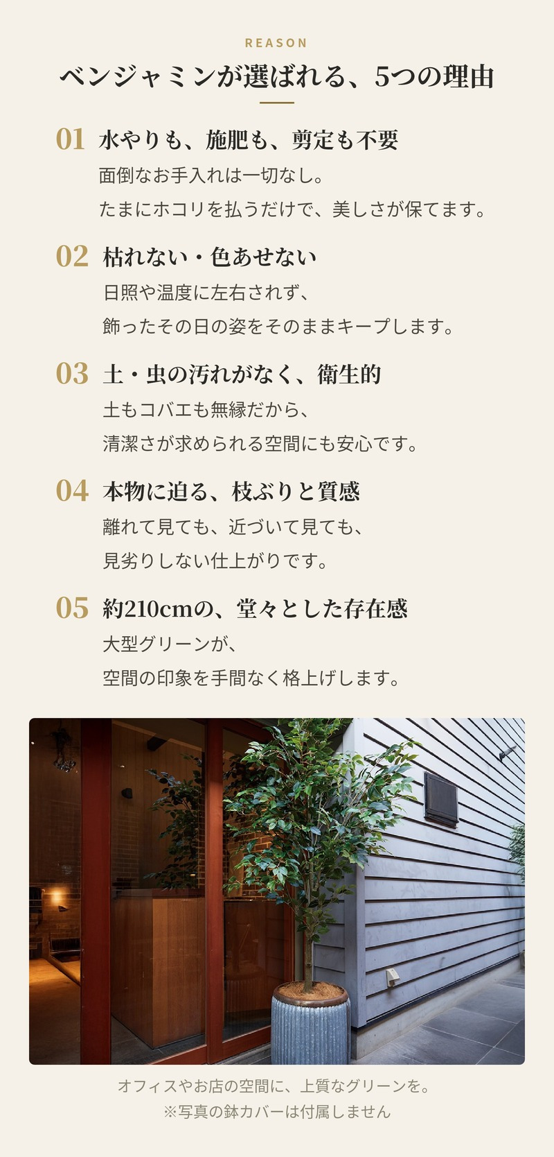 観葉植物 造花 ベンジャミン BROWN 全高約210cm 大型 フェイクグリーン 高級 本物そっくり リアル おしゃれ インテリア 人工観葉植物 アーティフィシャルグリーン 自然樹形 オフィス 店舗 ホテル 開店祝い 室内 リビング 玄関 風水 ベンジャミナ