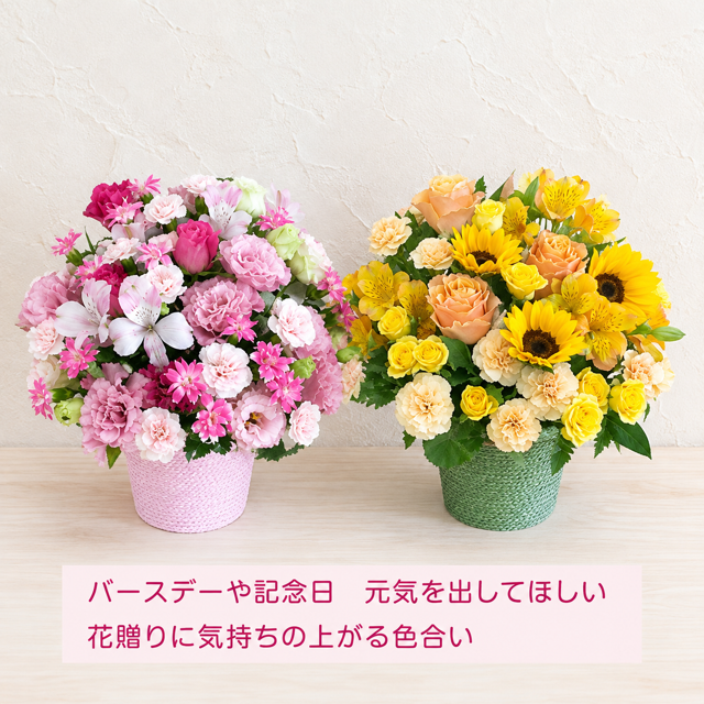 ご希望の色合いで選べる カラーセレクトアレンジメント 高さ34cm 生花 フラワーアレンジメント 花ギフト フラワーギフト 誕生日 お祝い お見舞い 送別 季節行事 お供え お悔やみ 手作り 鮮度重視 送料無料【北海道・九州・四国・中国・沖縄・離島は配送不可】