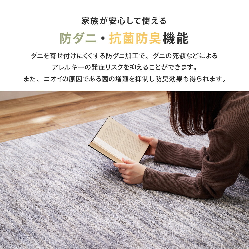 ラグ カーペット 国産高機能 ビビ 直径約180cm 防ダニ 抗菌 防臭 防音 防炎 制電 日本製 ナイロン 無地 円形