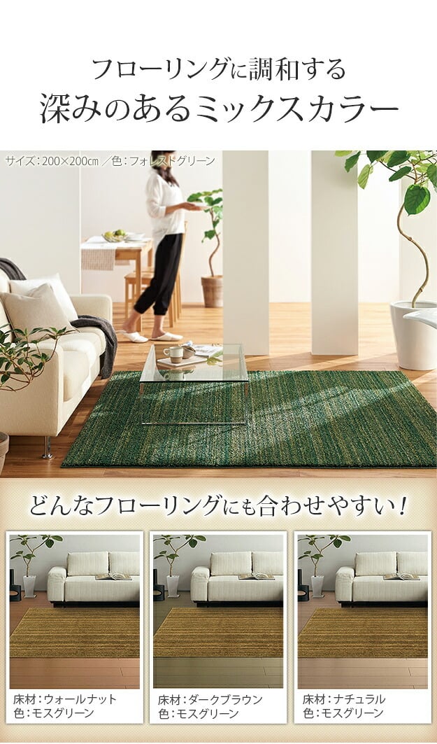 ラグ 洗える 防ダニ ミックスカラーラグ 〔ルーナ〕 300x200cm 長方形 3畳 三畳 防音 防炎 カーペット ラグマット ウォッシャブル 床暖房 ホットカーペット対応 リビング 滑り止め スミノエ 日本製