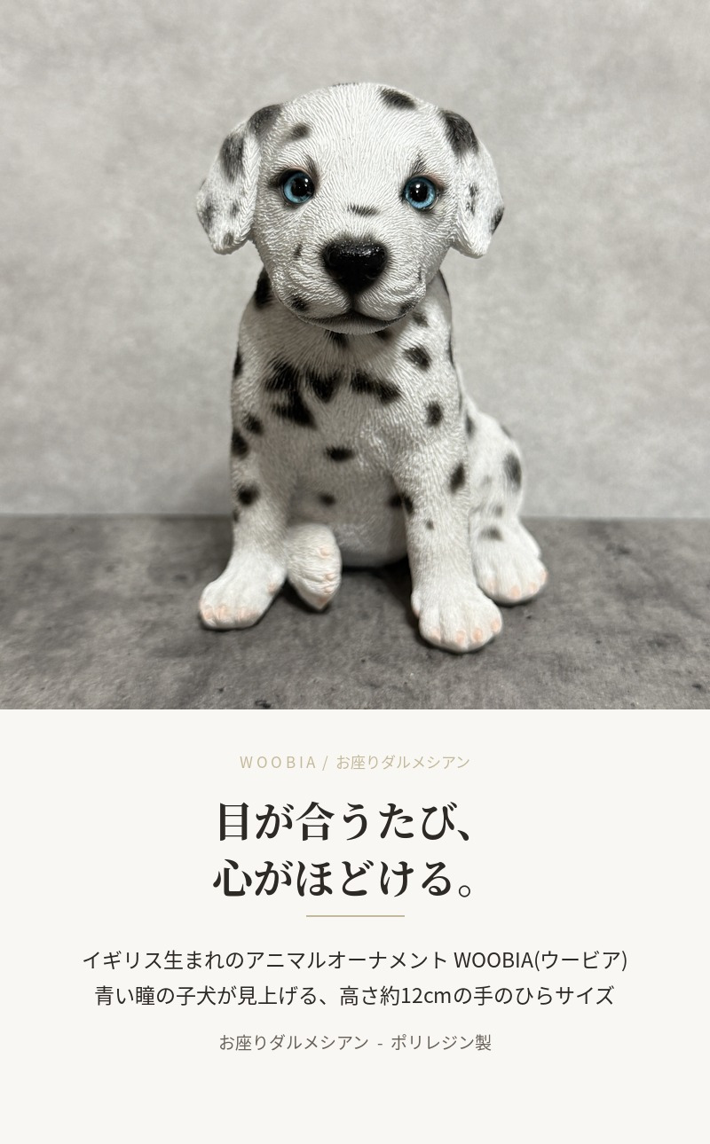 犬の置物 woobia ウービア お座りダルメシアン 子犬 リアル動物オーナメント 高さ12cm 青い瞳 イギリス職人手彩色 玄関 リビング 棚 インテリア 犬好き 誕生日 新築祝い 記念日 お祝い ギフト プレゼント かわいい