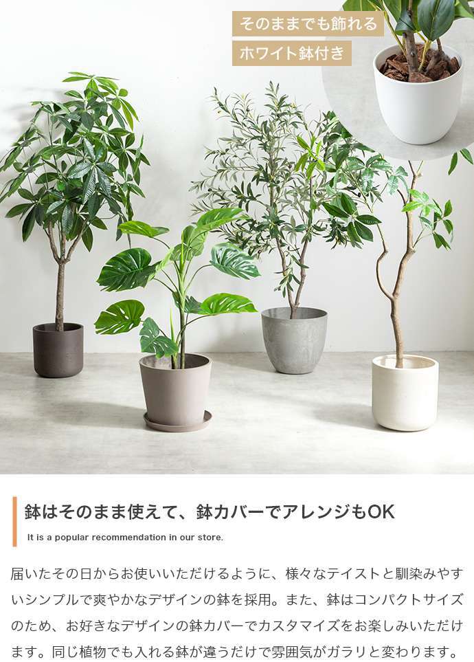 【高さ160cm】光触媒人工観葉植物 パキラ 曲がり 幅72cm×奥行50cm×高さ160cm オフィス 天然木 組立品 お部屋に気軽に飾れて空間を美しく彩るフェイクグリーン 本物の植物のようなリアルな質感とインテリアに馴染む風合いが魅力です