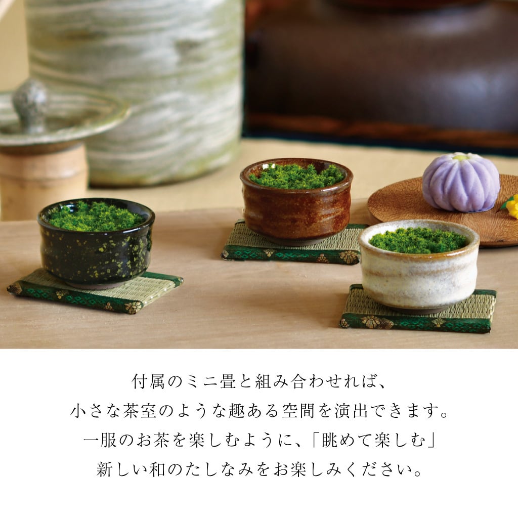 抹茶碗 苔栽培キット スナゴケ 植物 陶器 コケ グリーン スターターセット オブジェ 置物 おしゃれ インテリア 雑貨 ギフト プレゼント 男性 女性 父の日 母の日 敬老の日 誕生日 ラッピング対応 無料ラッピング