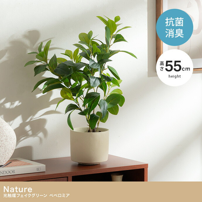 【高さ55cm】光触媒人工観葉植物 ペペロミア 幅30cm×奥行25cm×高さ55cm コンパクト 天然木 お部屋に気軽に飾れて空間を美しく彩るフェイクグリーン 本物の植物のようなリアルな質感とインテリアに馴染む風合いが魅力です