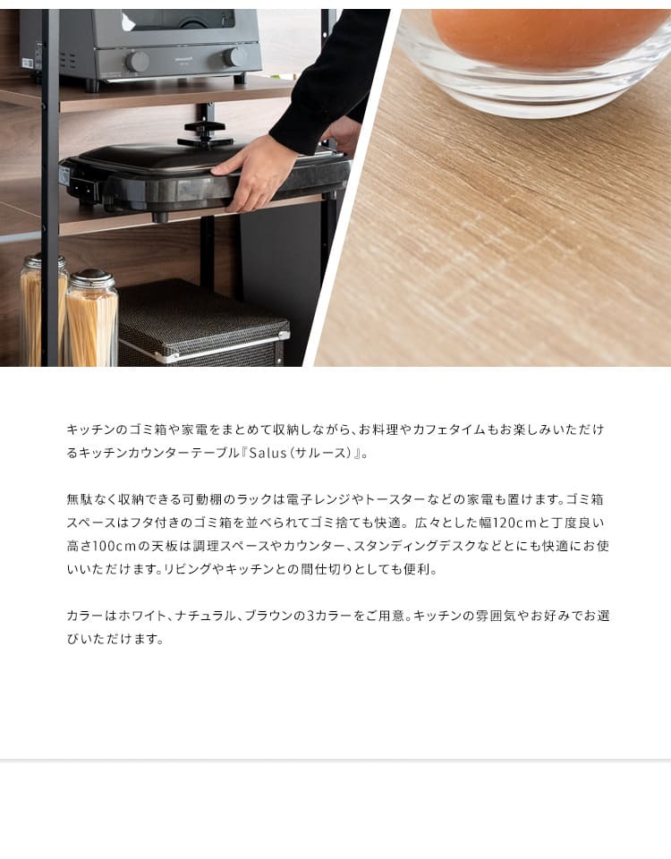 キッチンカウンター ゴミ箱収納 間仕切り レンジラック Salus ごみ箱上 ラック レンジ台 レンジボード 大型レンジ対応 家電収納 ハイテーブル 収納 ごみ箱収納ラック キッチンテーブル カウンターテーブル 新生活
