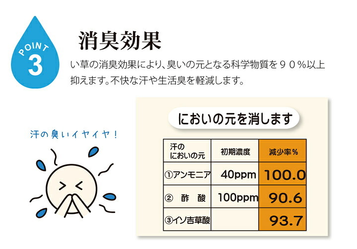 固わた40mm入り い草ごろ寝フリーマット（おやじの場所) 『大和』 約70×150cm