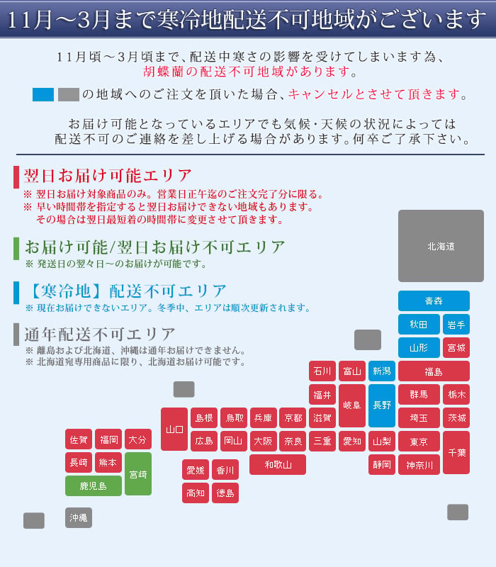 胡蝶蘭 大輪 ３本立ち 蕾含む39輪以上 送料無料 ヤマト [r-tai0007-f] 開店祝い 開業 誕生日 長寿 結婚記念日 金婚式 お供え 生花 株主総会 選挙 当選 祈願 仏花 お悔み 開院 開業 移転 ギフト 贈り物 還暦 古希 喜寿 傘寿 米寿 卒寿 白寿 百寿 御供 受賞 受章 退職 就任 栄転 昇進 新築 竣工 落成 新装 周年記念 式典 発表会 内祝 年忌 法要