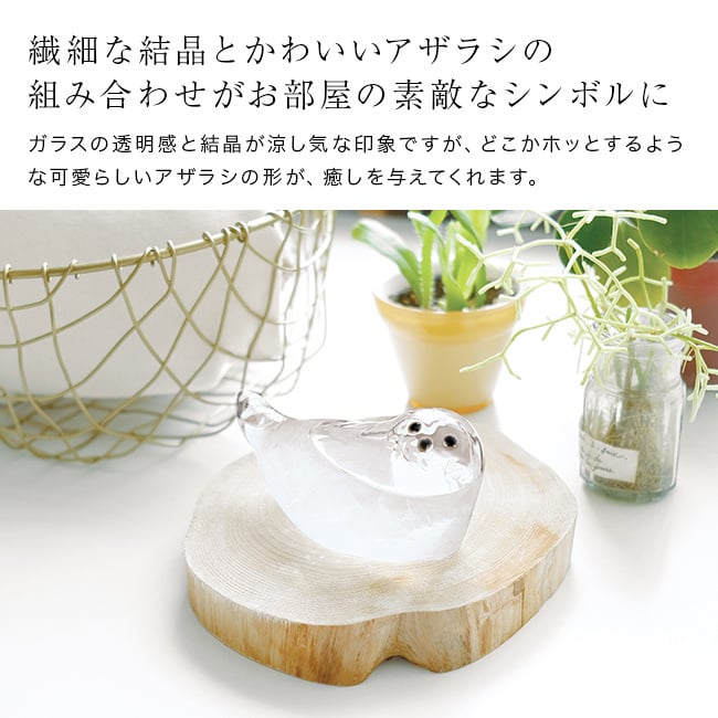 Storm Glass ストームグラス アザラシ[気象計 天気予報 インテリア オブジェ 置物 かわいい おしゃれ インテリア雑貨 ガラス プレゼント ギフト 雑貨 結晶 天気 置き物 贈り物 アニマル 動物 ガラス雑貨 インテリア小物]