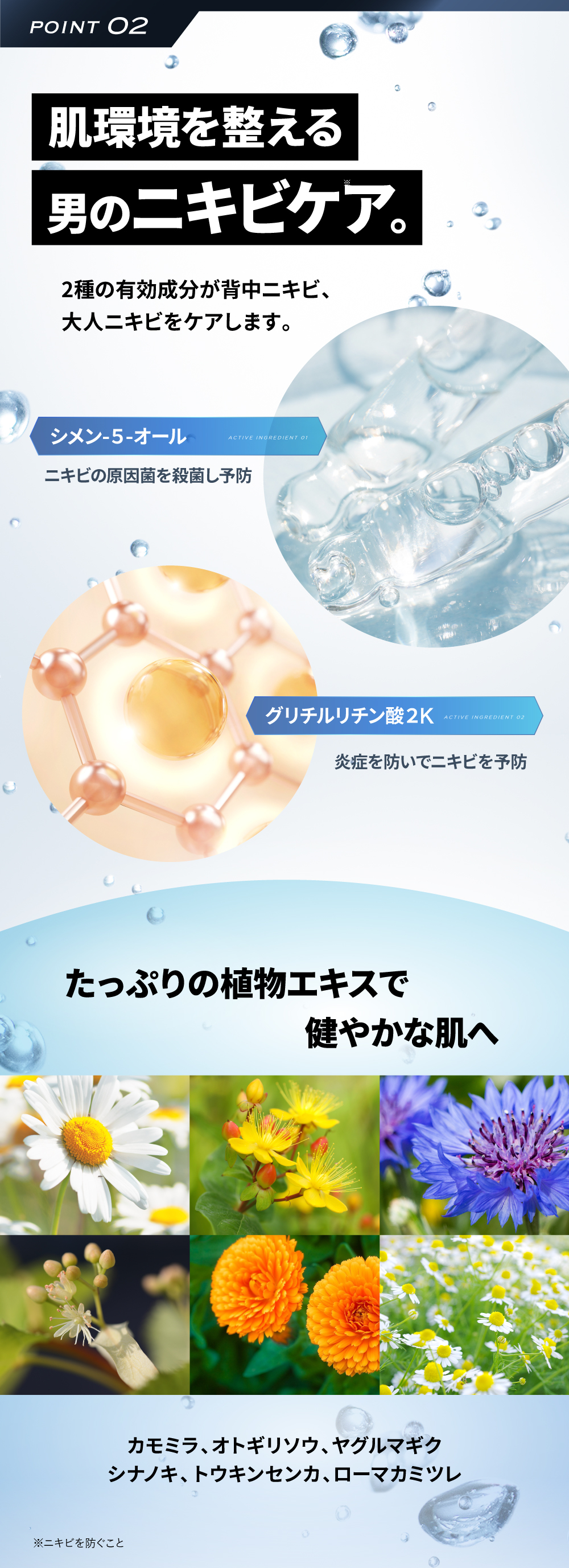 EVERSKIN ボディーソープ メンズ 体臭 ワキガ 加齢臭 背中ニキビ 皮脂 足臭 脇汗 【医薬部外品】ホワイトティーの香り 日本製 400ml