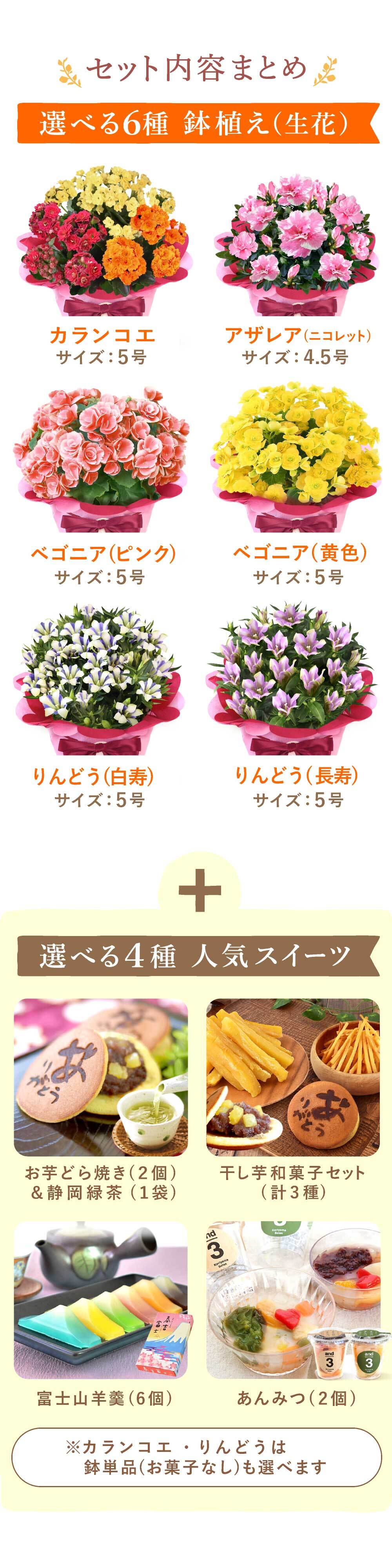 敬老の日 すぐ贈れるギフト 即日発送 ギフト プレゼント 花 生花 鉢植え 鉢花 カランコエ アザレア ベゴニア どら焼き スイーツ お菓子 和菓子 洋菓子 花とお菓子 60代 70代 80代 90代 おじいちゃん おばあちゃん 孫 孫から 送料無料 おいもや