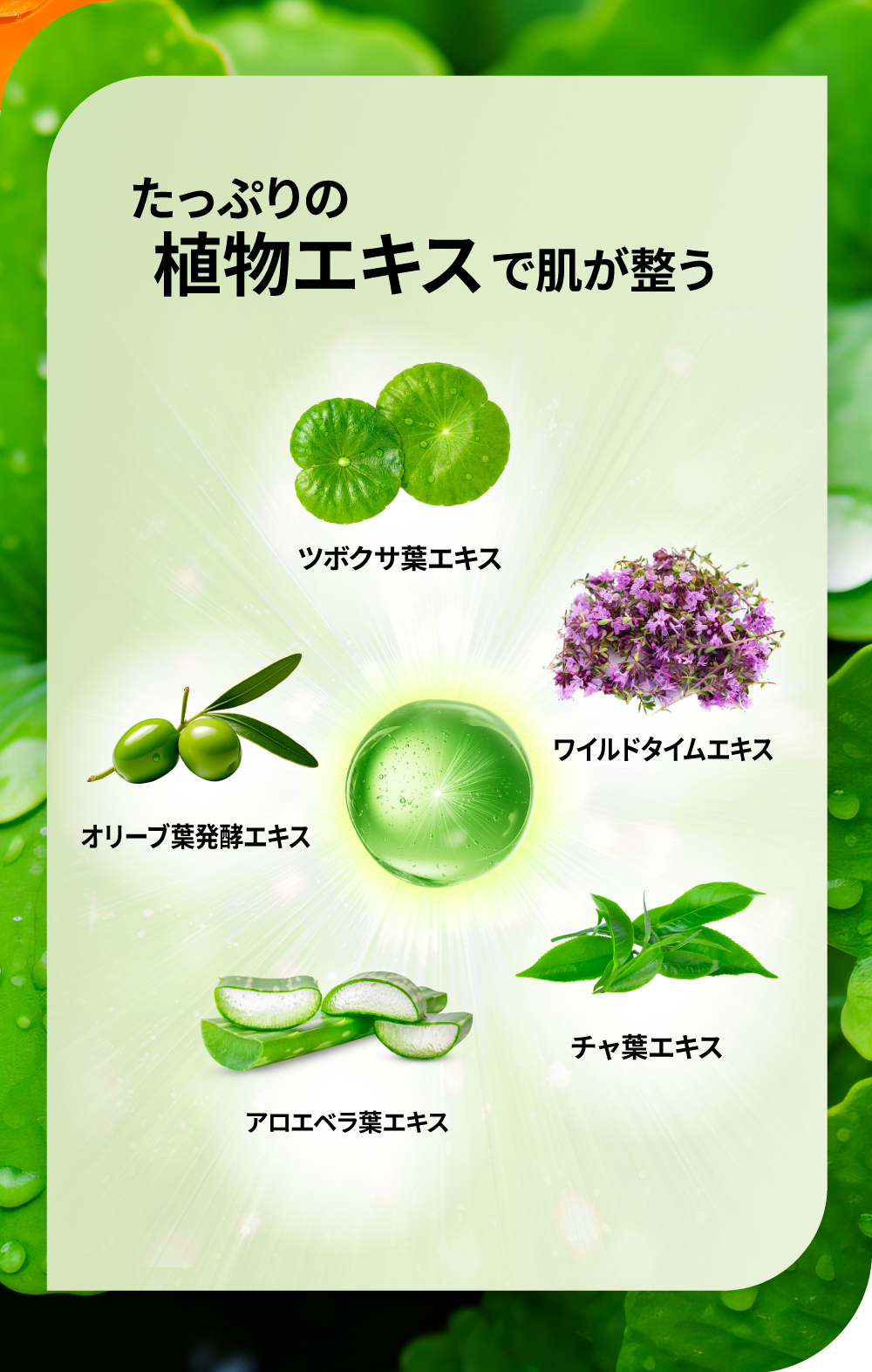 EVERSKIN 洗顔 メンズ 酵素洗顔 クレイ 泡 洗顔フォーム  毛穴汚れ テカリ防止 肌荒れ 皮脂汚れ べたつき 男性用 スキンケア 日本製 150ml ギフト プレゼント