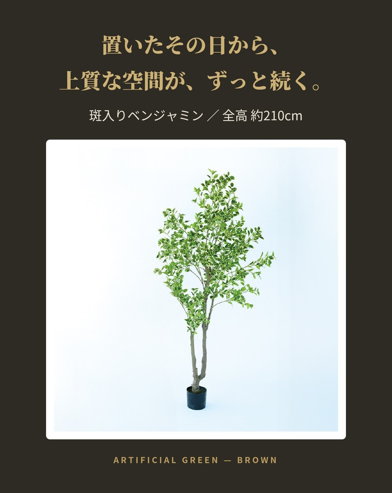 観葉植物 造花 斑入りベンジャミン BROWN 全高約210cm 大型 フェイクグリーン 高級 本物そっくり リアル おしゃれ 明るい インテリア 人工観葉植物 アーティフィシャルグリーン オフィス 店舗 ホテル 開店祝い 室内 リビング 玄関 風水 ベンジャミナ