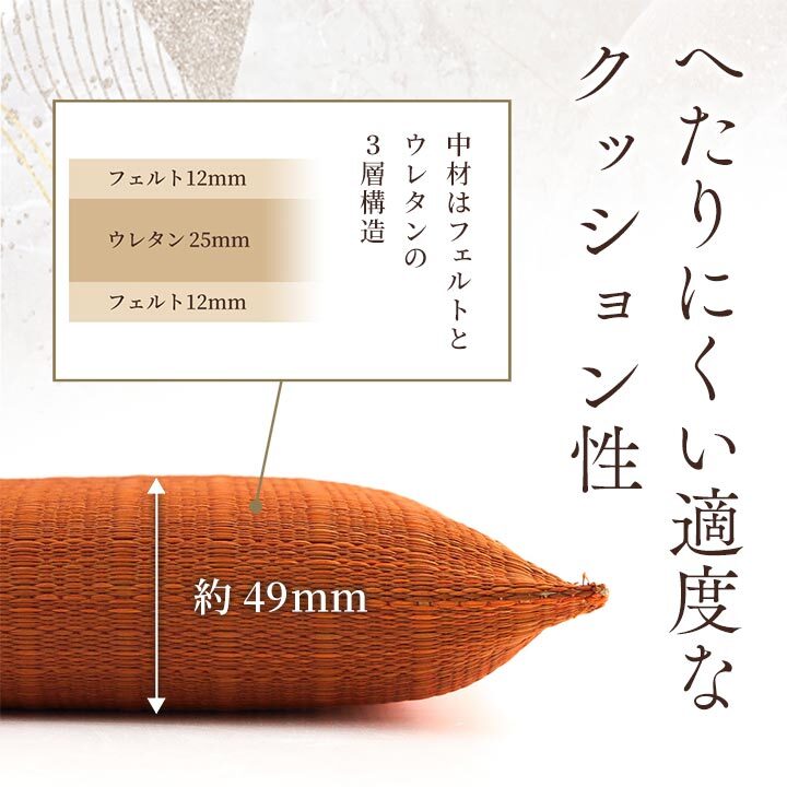 座布団 い草座布団 日本製 抗菌防臭 消臭 湿度調整 蒸れにくい 涼しい モダン 無地 2枚組 55×55cm 和風モダンのシンプルない草座布団 国産 ウレタン 座ぶとん ざぶとん フロアクッション 和室クッション 寝具 寝室用品 インテリア 汚れにくい 新生活