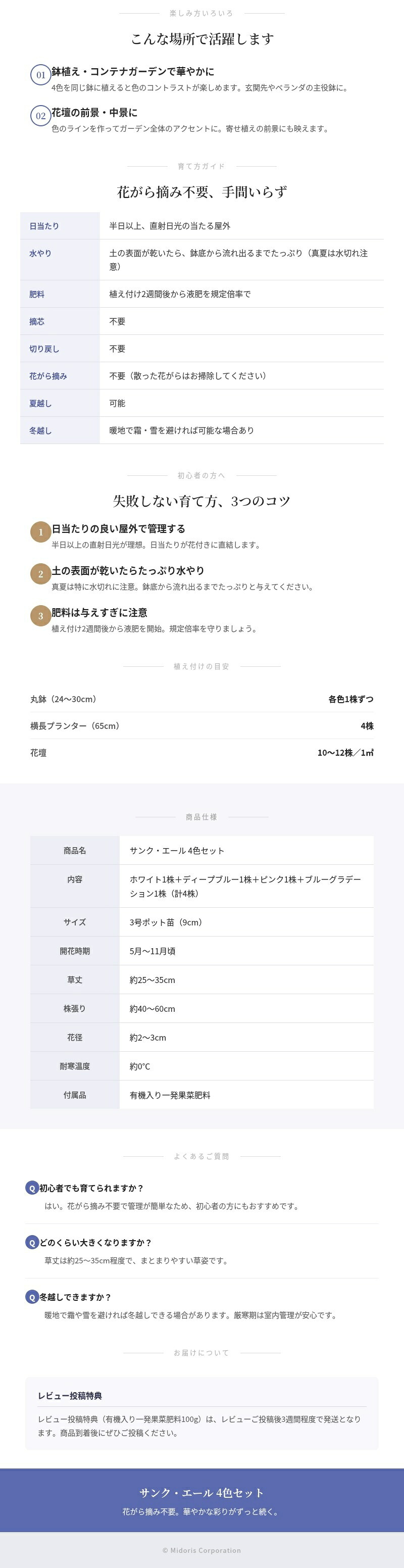 サンク・エール 苗 4色セット（ホワイト・ディープブルー・ピンク・ブルーグラデーション）3号ポット サントリーフラワーズ ｜スカエボラ｜花がら摘み不要｜暑さに強い夏の花苗｜肥料付き ガーデニング 鉢植え ハンギング プランター