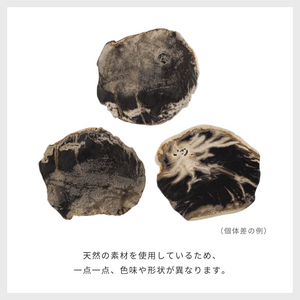 amabro アマブロ WOOD COASTER ウッドコースター 木のコースター 木製コースター 木製 珪化木 村上美術 コースター プレート