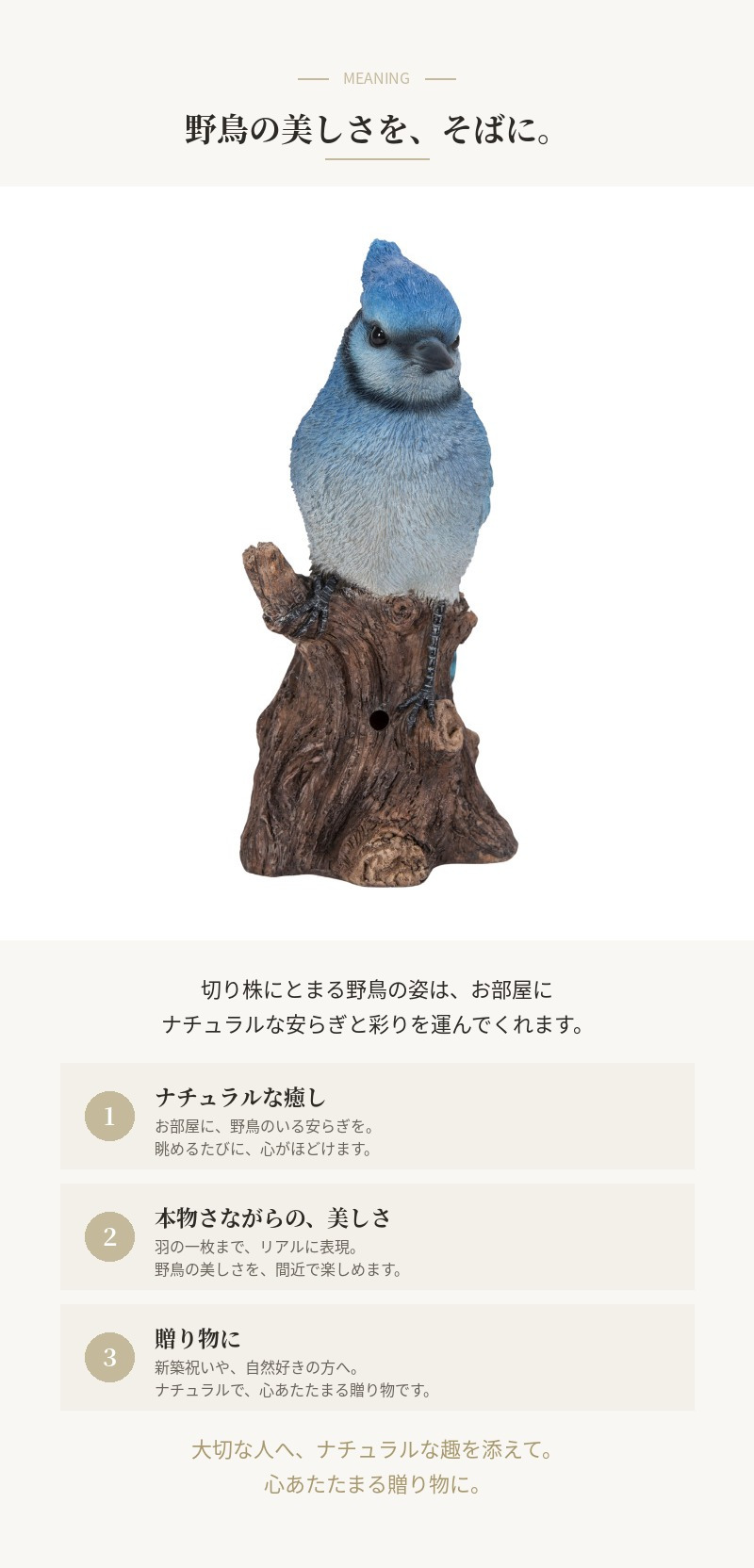 置物 鳥 アオカケス 高さ16cm woobia ウービア 野鳥 リアル おしゃれ 玄関 インテリア オブジェ ガーデン 北欧 ナチュラル 青い鳥 動物 アニマル 癒し 小鳥 鳥好き 出窓 棚 プレゼント ギフト バードウォッチング