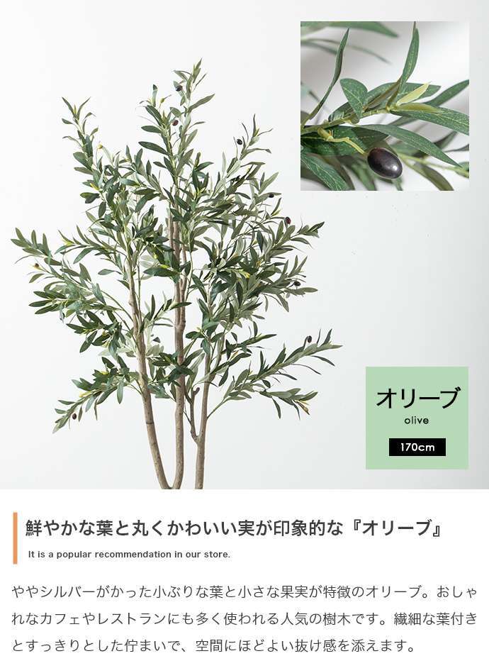 【高さ170cm】光触媒人工観葉植物 オリーブ 幅70cm×奥行60cm×高さ170cm オフィス 天然木 ポリエステル 組立品 お部屋に気軽に飾れて空間を美しく彩るフェイクグリーン 本物の植物のようなリアルな質感とインテリアに馴染む風合いが魅力です