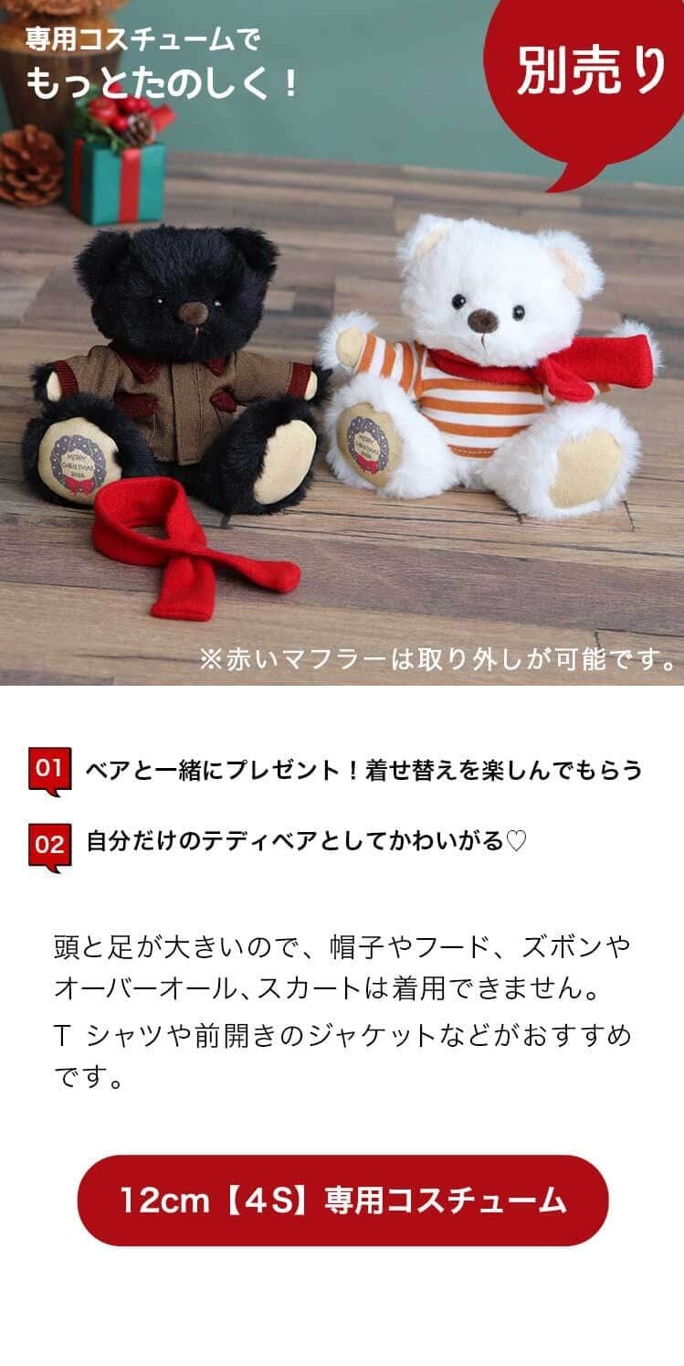 4Sコスチューム