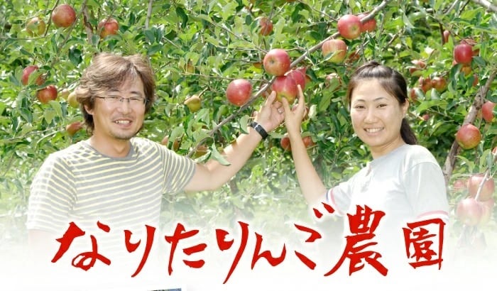 【11月中旬頃発送】蜜入りは１２月末まで　青森県認証 特別栽培農産物 ◆ 甘くておいしい！フォーシーズン 青森りんご 葉とらずサンふじ 家庭用 約１０kg箱