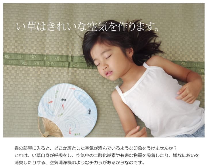 夏ラグ 夏用カーペット フリーカット い草 上敷き カーペット 『F不知火』 江戸間8畳(約352×352cm）(裏:ウレタン張り）