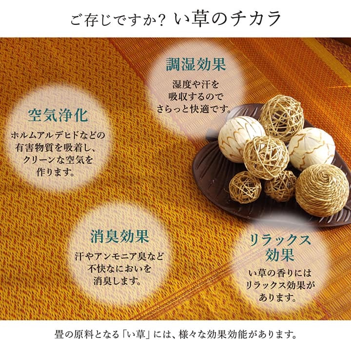 夏ラグ 夏用カーペット 敷物 花ござ 国産 純国産 日本製 い草 モダン 抗菌防臭 自然素材 不織布 江戸間3畳 約174×261cm